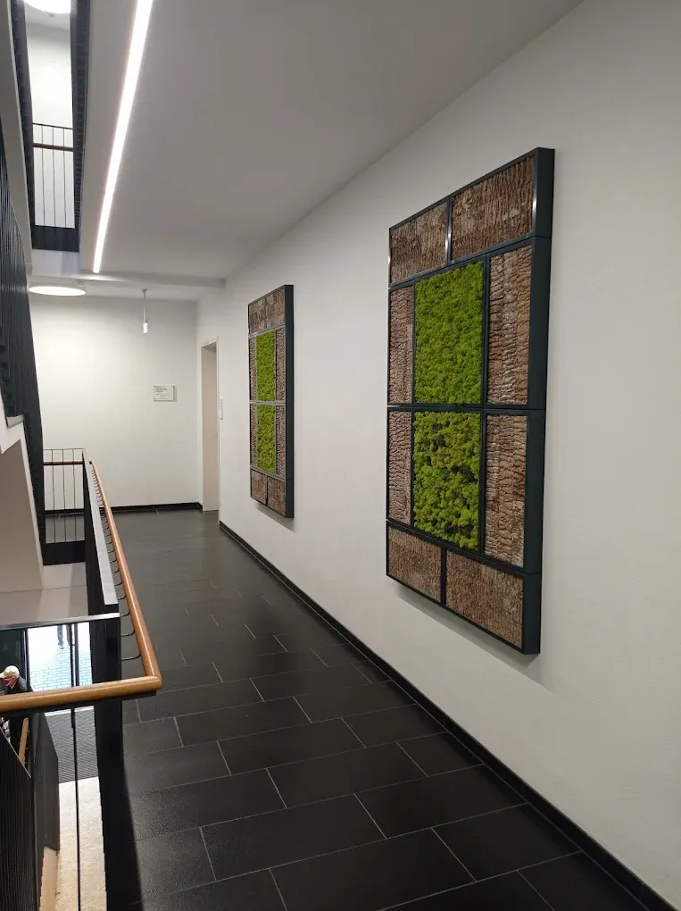 Treppenhaus mit großformatigen Moosbildern